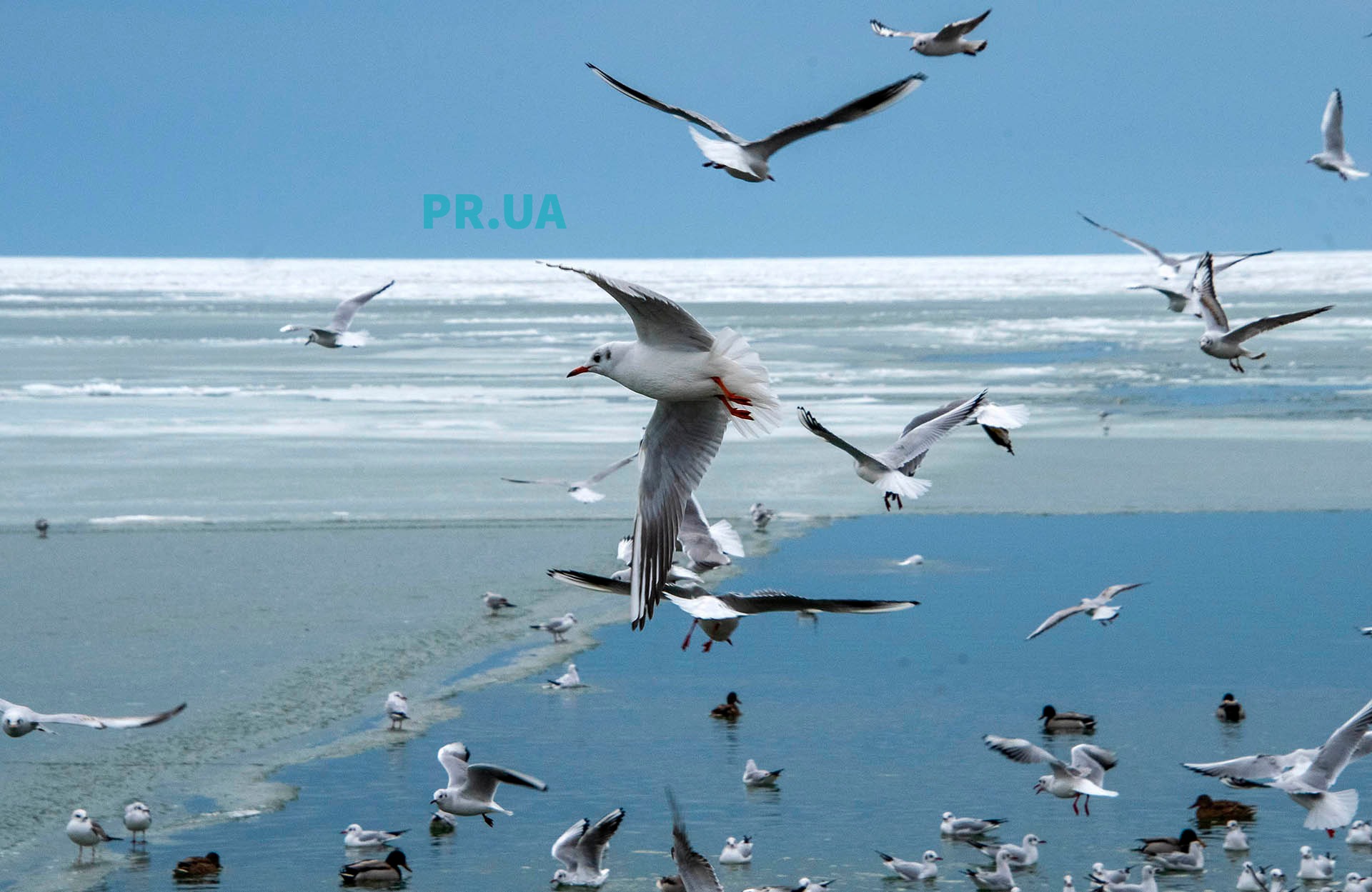 Маріуполь. Відлига