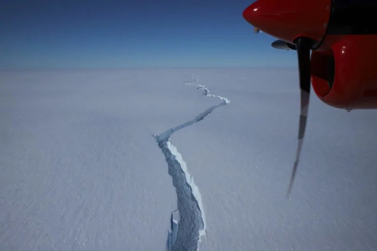 У 20 разів більше за Мангеттен: в Антарктиді відколовся величезний айсберг