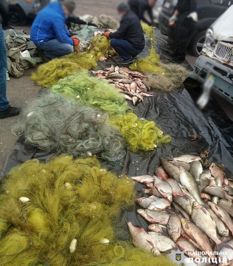 Під Маріуполем у підозрюваного в браконьєрстві вилучили триста кілограмів риби