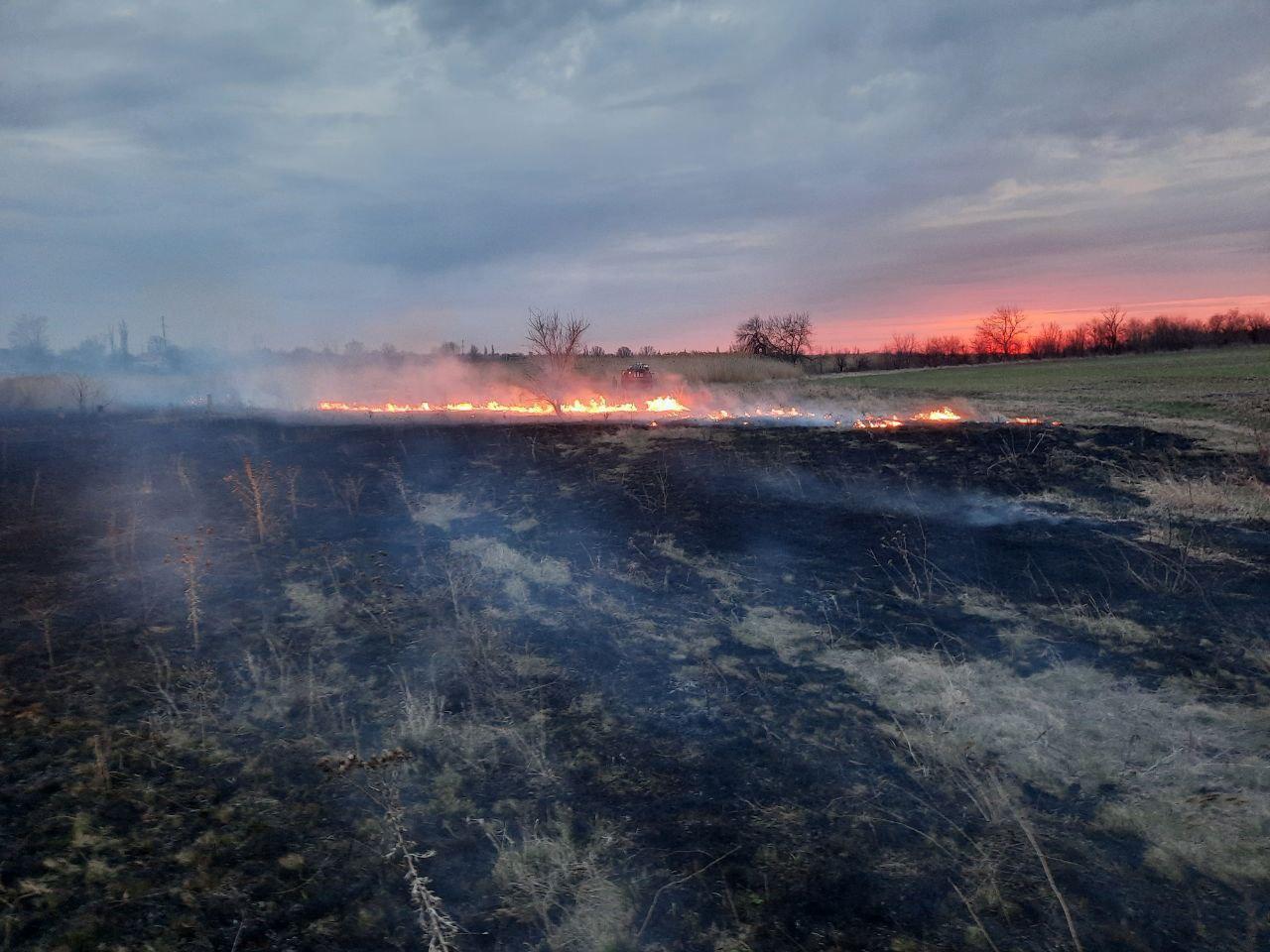 У Маріуполі горів очерет, паліям загрожує багатотисячний штраф