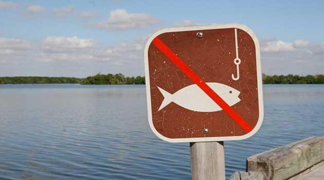 В українських водоймах заборонили вилов риби