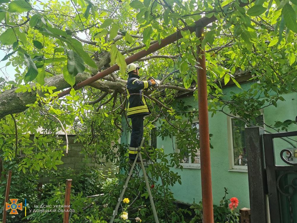 На Донеччині сильний вітер валив дерева на газопровід, дороги та будинки