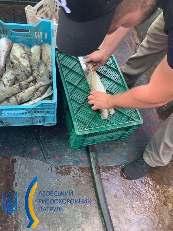 Браконьєри завдали збитків рибному господарству України на 1,3 млн грн
