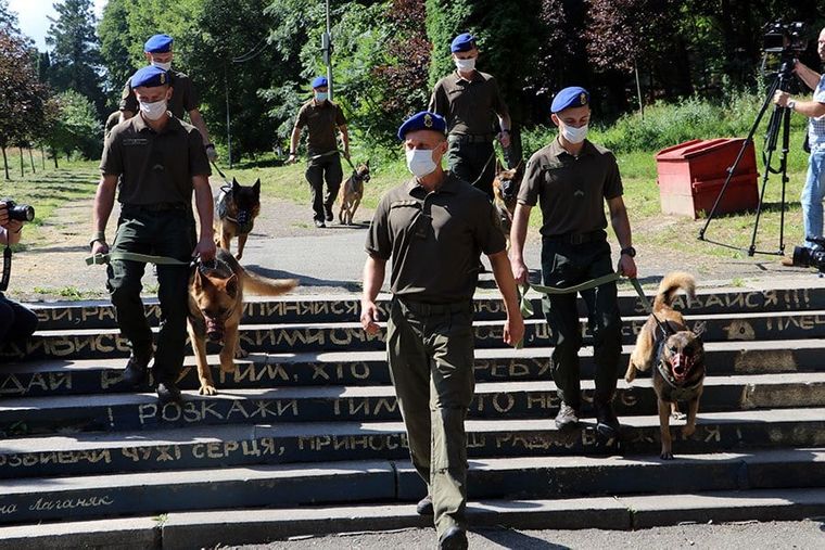 У Львові провели парад собак, які захищали Україну на Донбасі