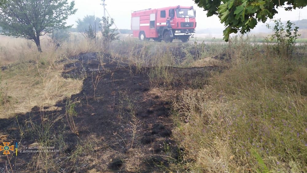 Понад 200 пожеж в екосистемах Донеччини сталося з початку року