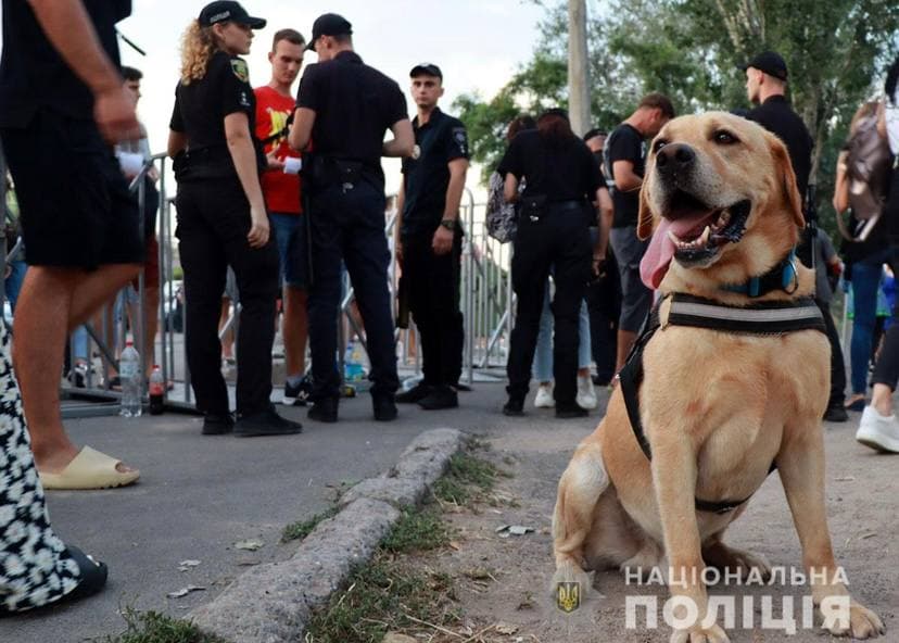 Маріупольський фестиваль MRPL City Fest: гості намагалися пронести наркотики (ФОТО)