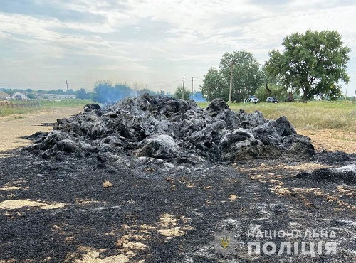 На Донеччині невідомі підпалили 200 тонн соломи (ФОТО)