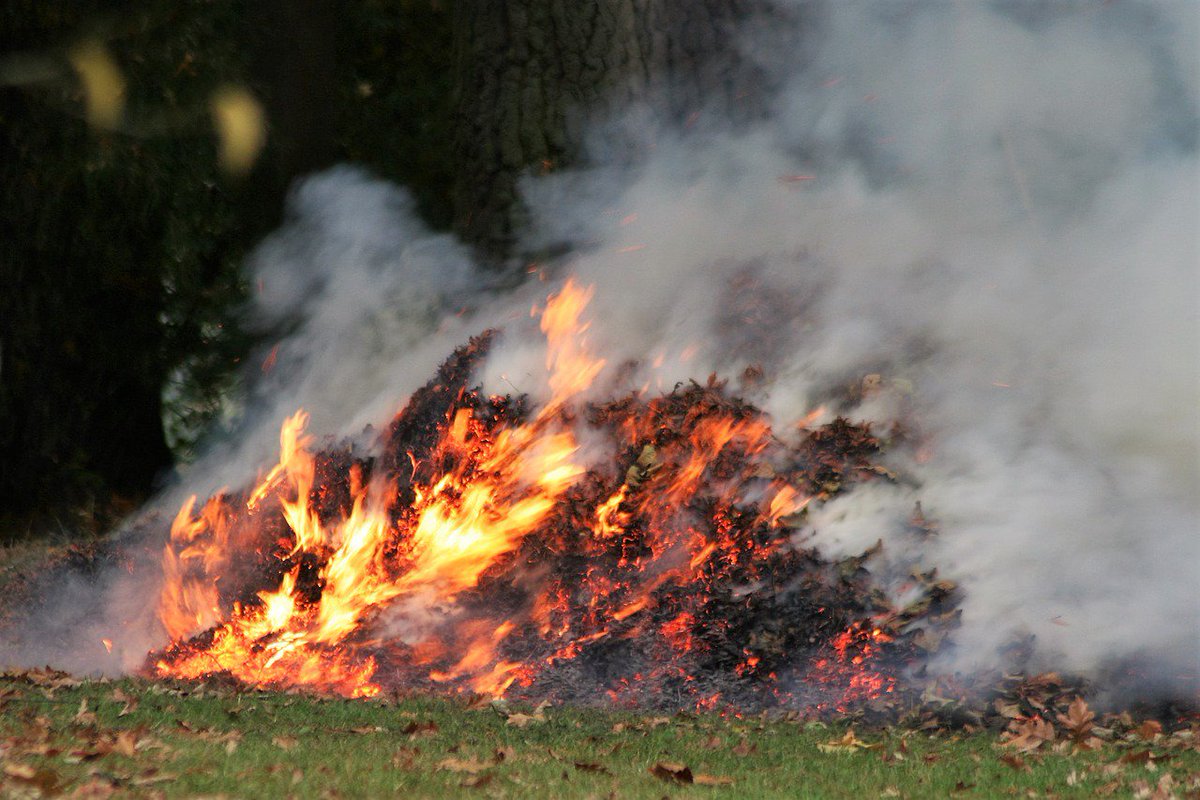 Маріупольцям нагадали, скільки «коштує» спалювання листя