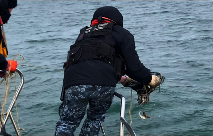 В Азовське море прикордонники випустили понад 600 кг риби (ФОТО+ВІДЕО)