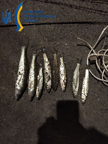 На Лівобережжі Маріуполя браконьєр «порибалив» на п'ять тисяч гривень