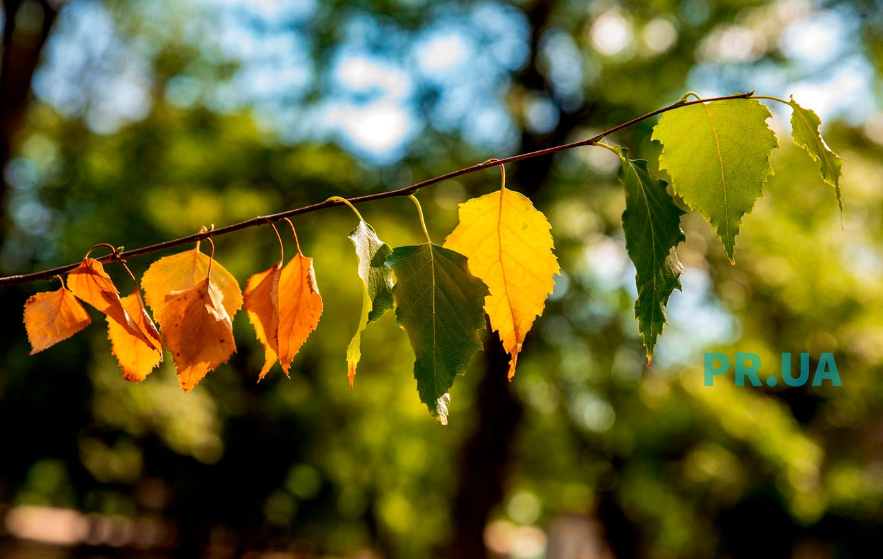 Маріуполь очікує справжній осінній вікенд