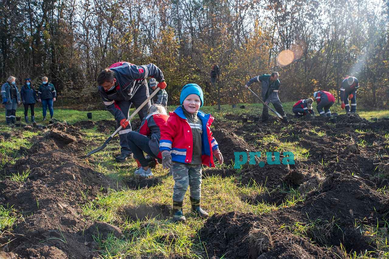 У Маріуполі з'явився розплідник для саджанців (ФОТО)