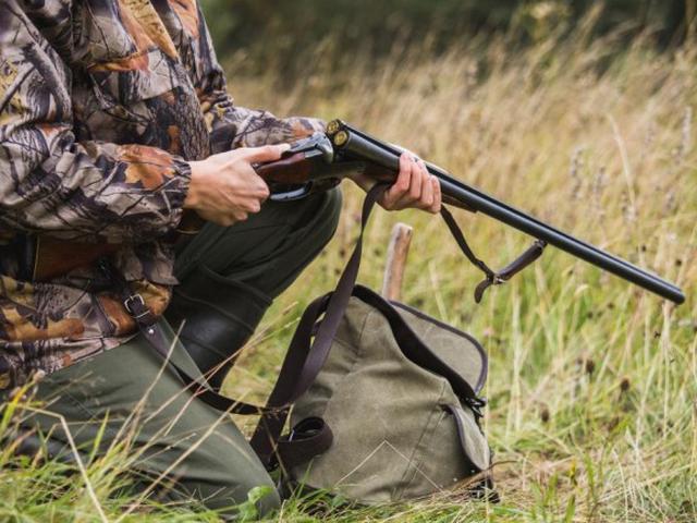 Під Маріуполем шакал розірвав понад два десятки голів домашньої птиці