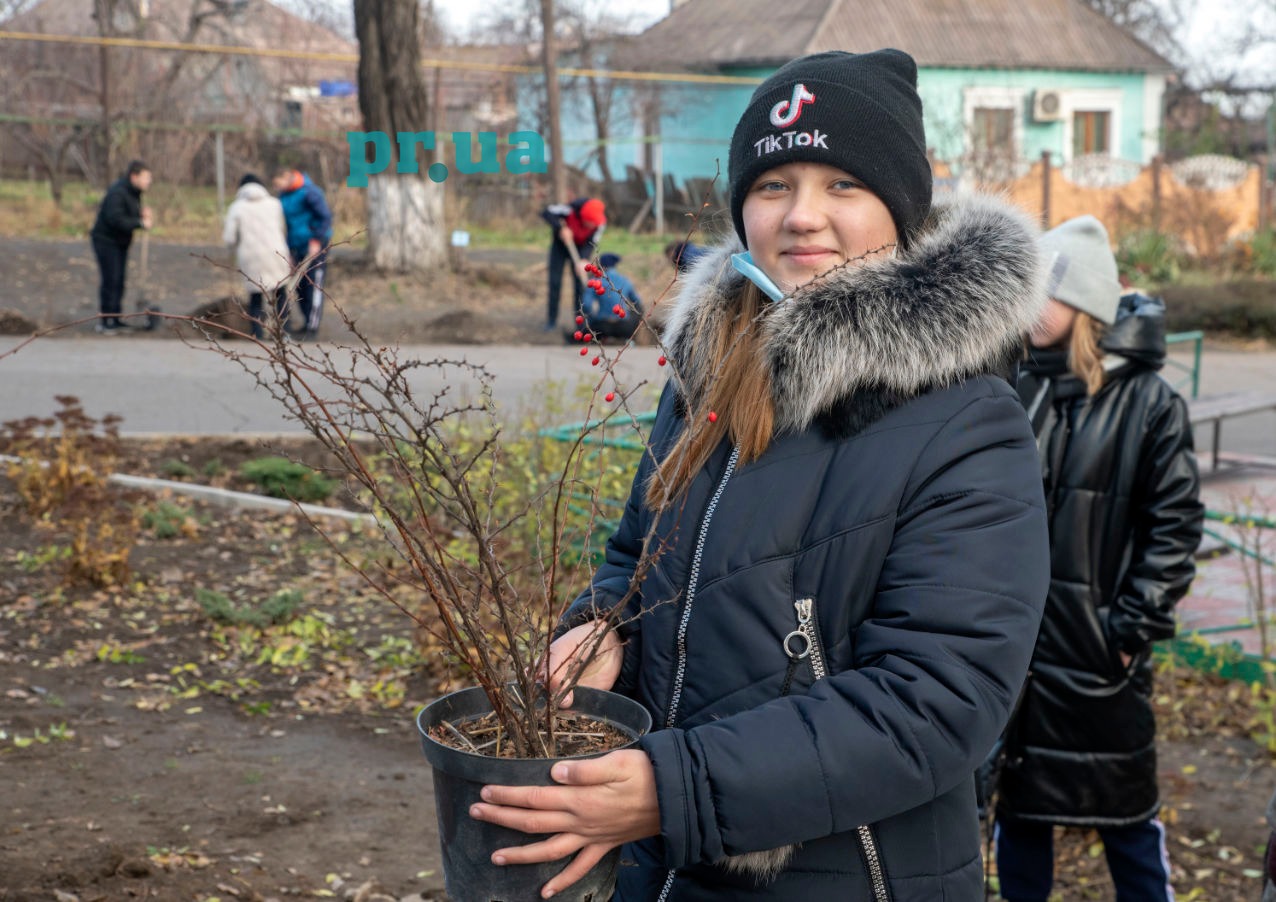 У Маріуполі городянам пропонують висадити іменне дерево на честь народження дитини чи коханої людини