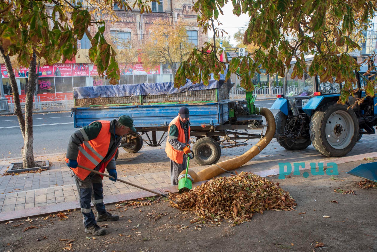 З Маріуполя вивозять 14 тонн опалого листя щодня