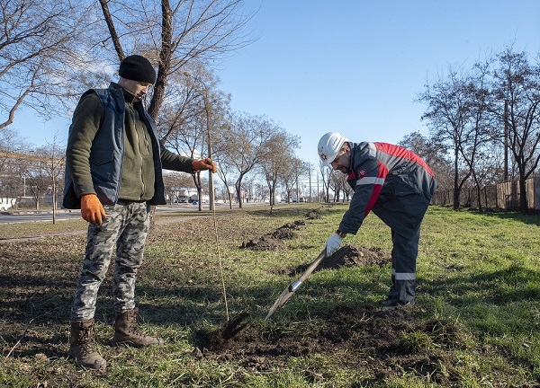 У Кальміуському районі металурги висадили понад 200 молодих дерев