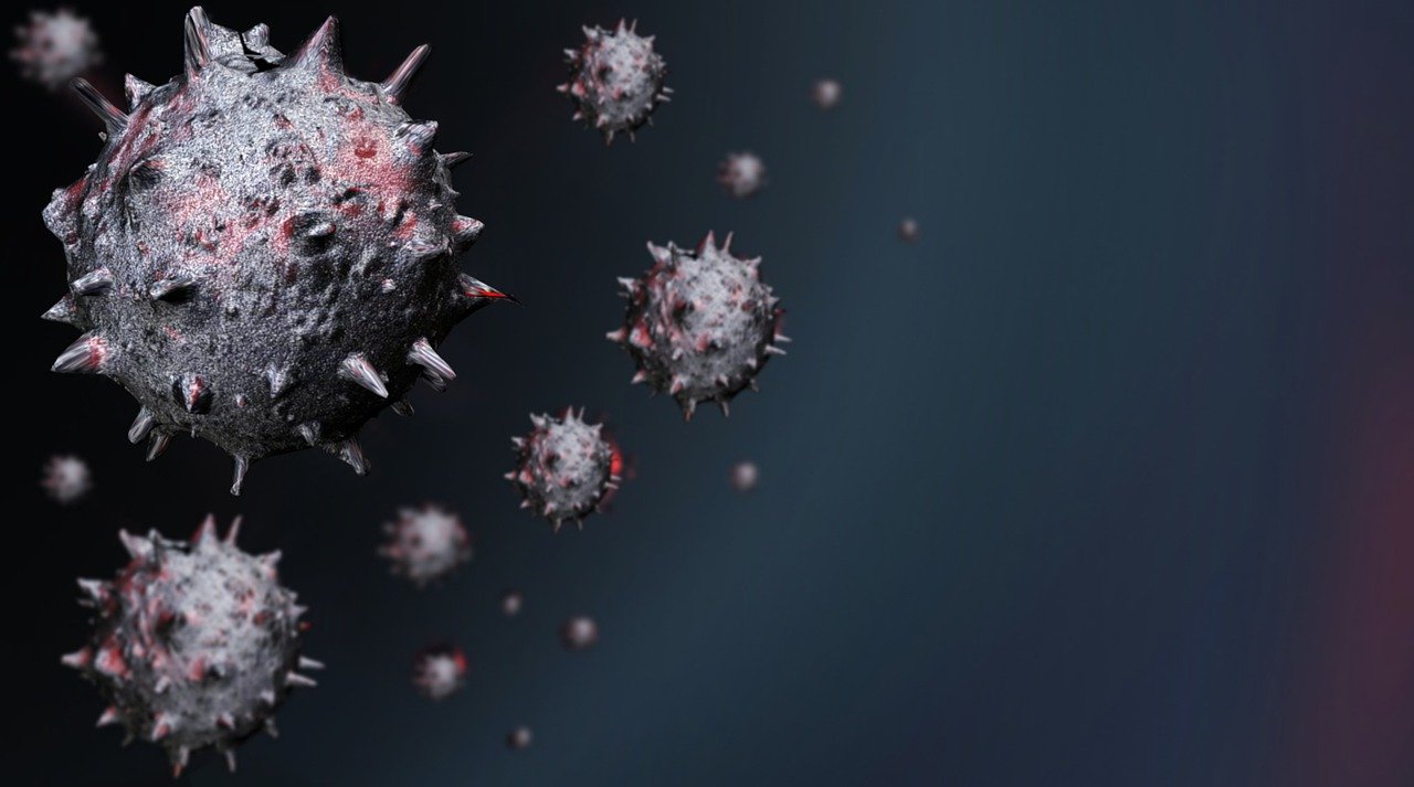 Виявлено новий штам коронавірусу з Африки: чим він небезпечний?