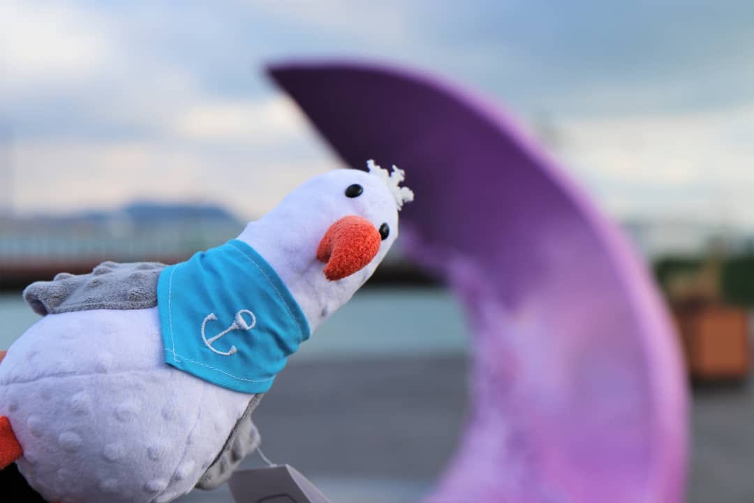 У Маріуполі на пірсі помітили ”пелікана” (ФОТО)