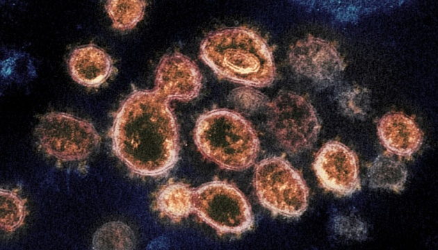 Вчені на Кіпрі виявили новий штам коронавірусу